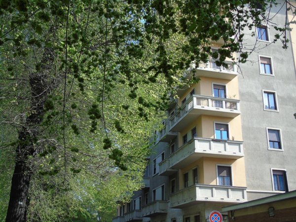 appartamento in affitto a Torino in zona Cenisia