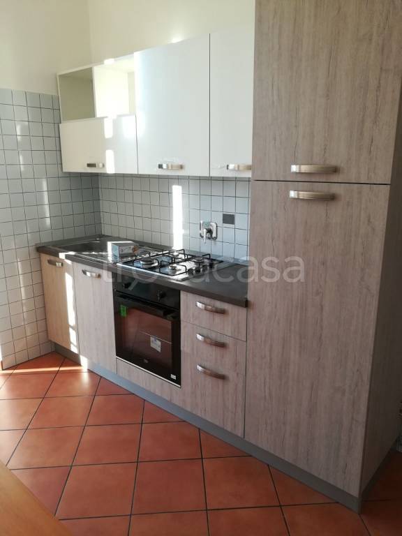 appartamento in affitto a Torino in zona Borgo San Paolo