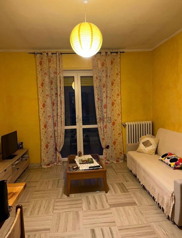 appartamento in affitto a Torino in zona Barriera di Milano