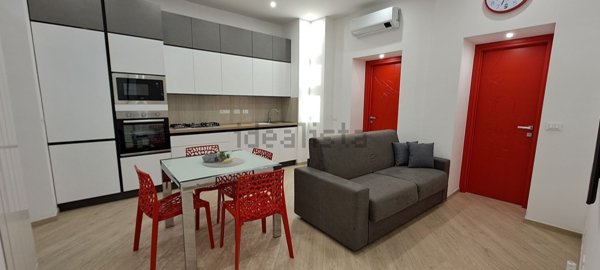 appartamento in affitto a Torino in zona Borgo San Paolo