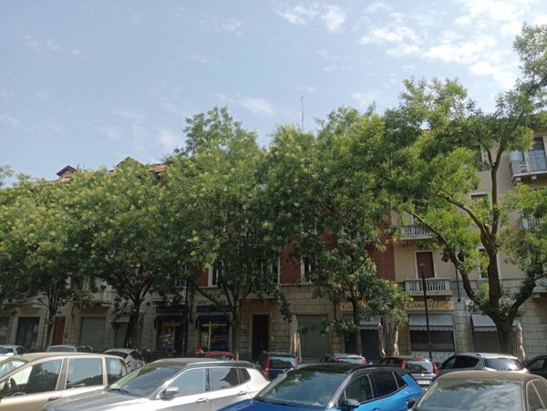 appartamento in affitto a Torino in zona Filadelfia