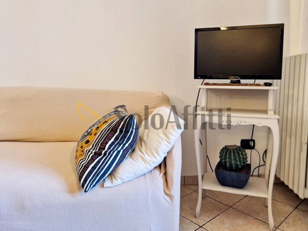 appartamento in affitto a Torino in zona San Donato