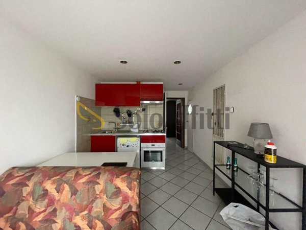 appartamento in affitto a Torino in zona Crocetta
