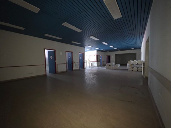 locale commerciale in affitto a Torino in zona Regio Parco