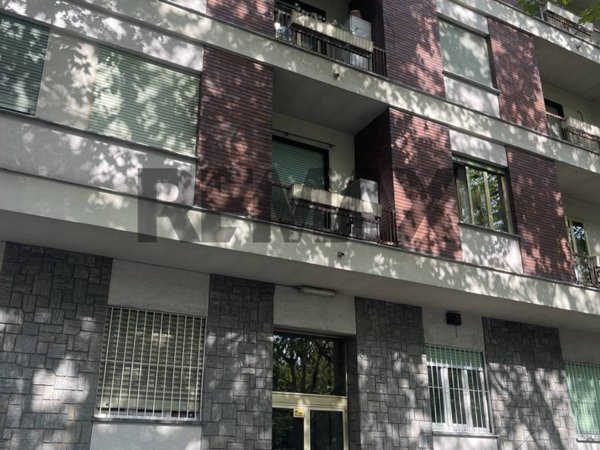 negozio in affitto a Torino