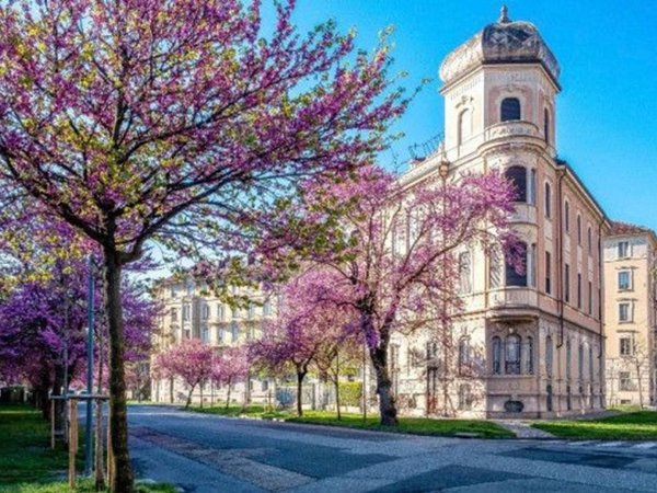 appartamento in affitto a Torino in zona Crocetta