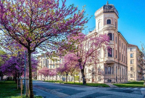 appartamento in affitto a Torino in zona Centro Storico