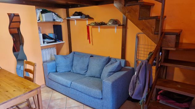 appartamento in affitto a Torino in zona Crocetta