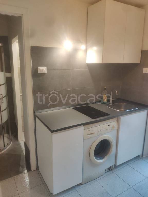 appartamento in affitto a Torino in zona Madonna di Campagna