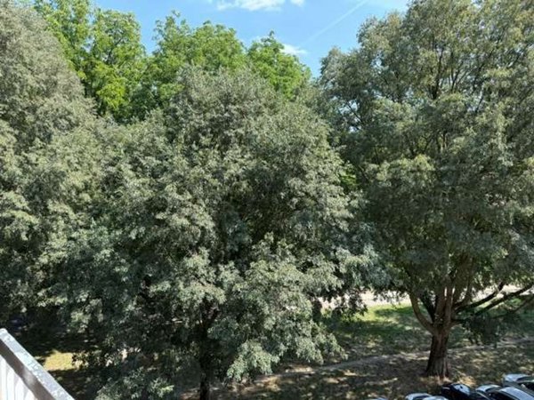 appartamento in affitto a Torino in zona Vanchiglietta