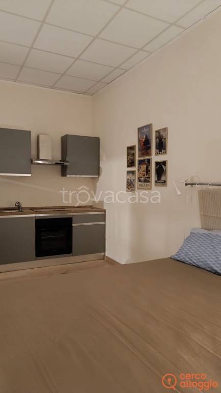 appartamento in affitto a Torino in zona Crocetta