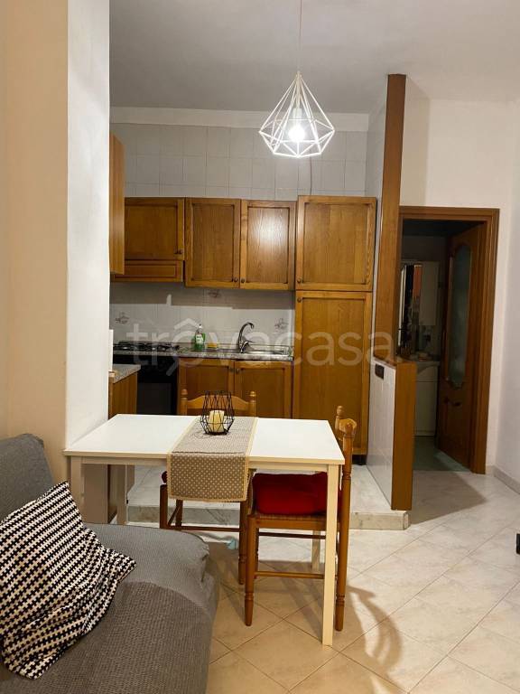 appartamento in affitto a Torino in zona Borgo San Paolo