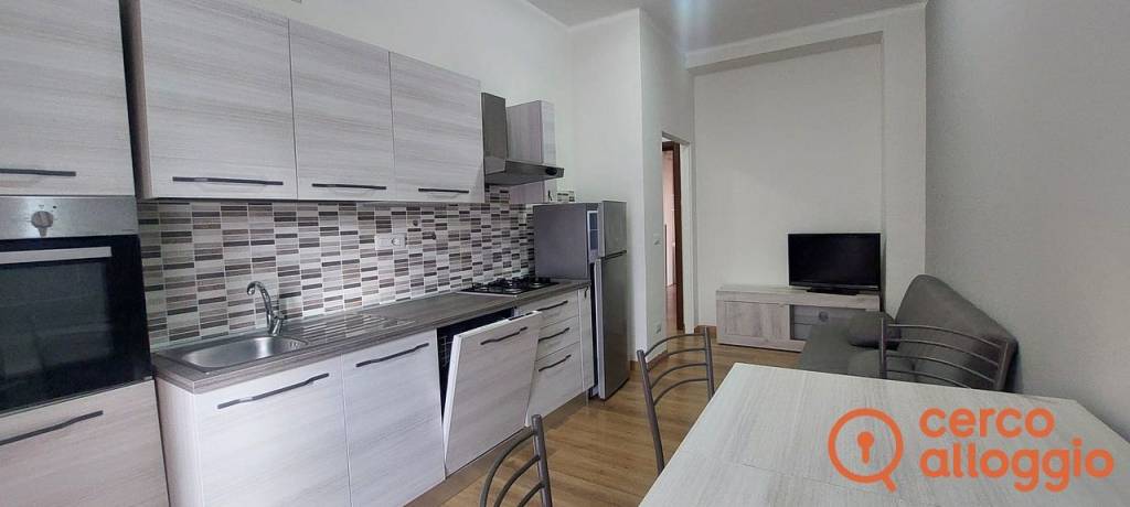 appartamento in affitto a Torino in zona Madonna di Campagna