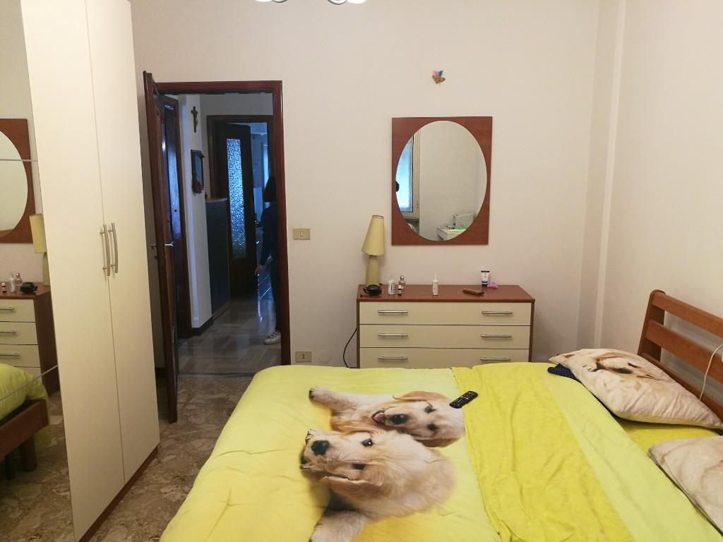 appartamento in affitto a Torino in zona Millefonti