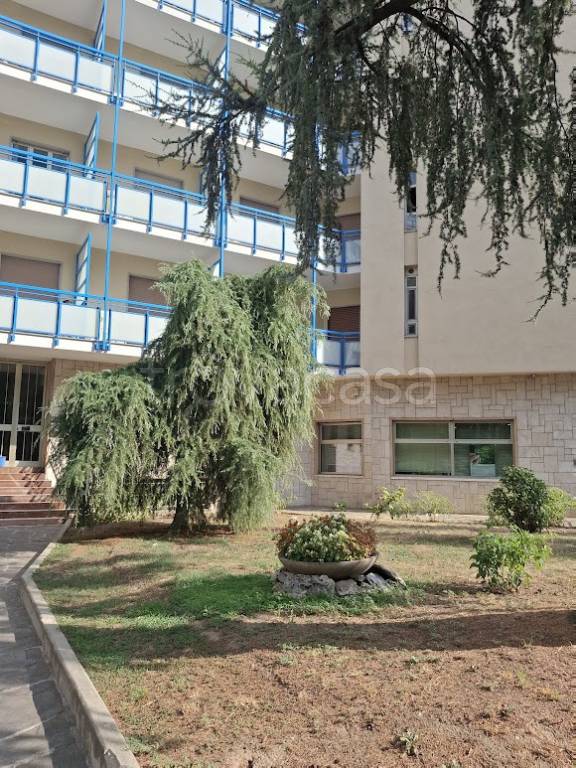 appartamento in affitto a Torino in zona Millefonti