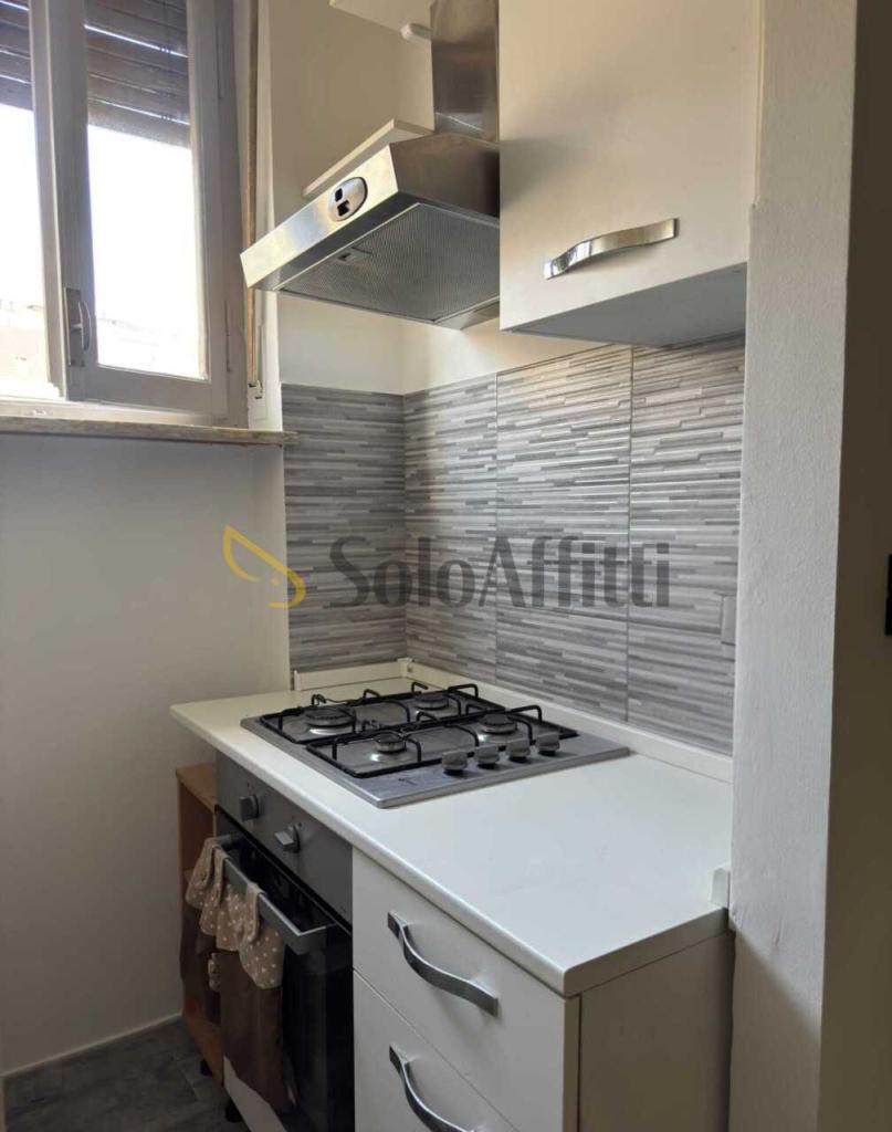 appartamento in affitto a Torino in zona Pozzo Strada
