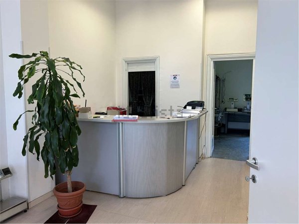 trivano in affitto a Torino in zona Borgo San Paolo
