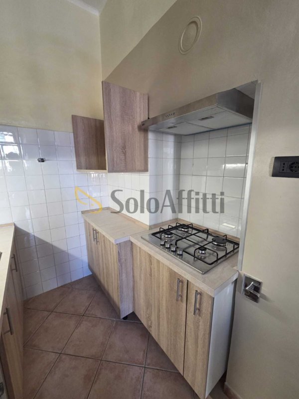 appartamento in affitto a Torino in zona San Donato