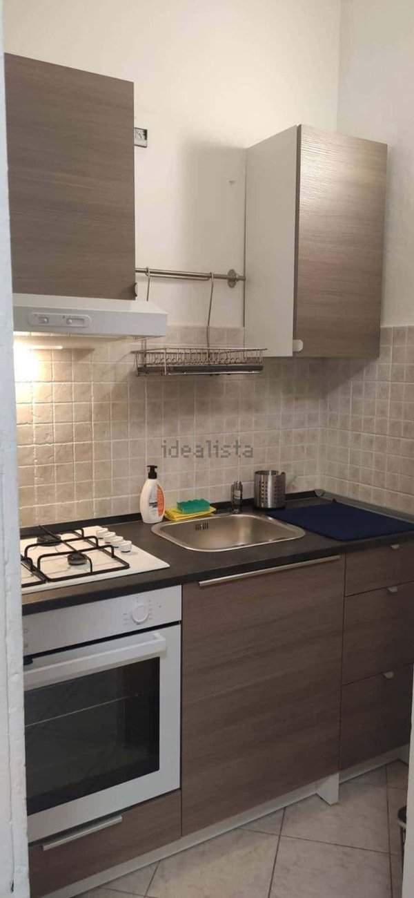 appartamento in affitto a Torino in zona Crocetta