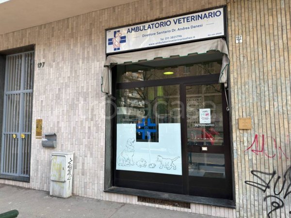 appartamento in affitto a Torino in zona Borgo San Paolo