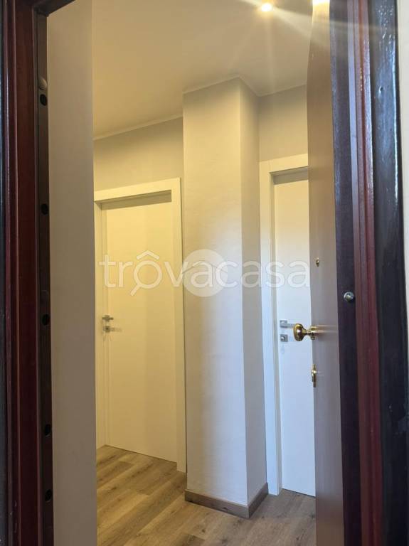 appartamento in affitto a Torino in zona Borgo San Paolo