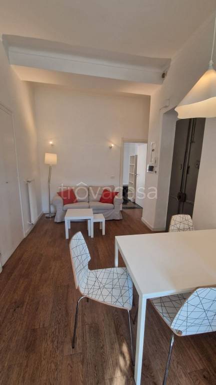 appartamento in affitto a Torino in zona Borgo San Paolo