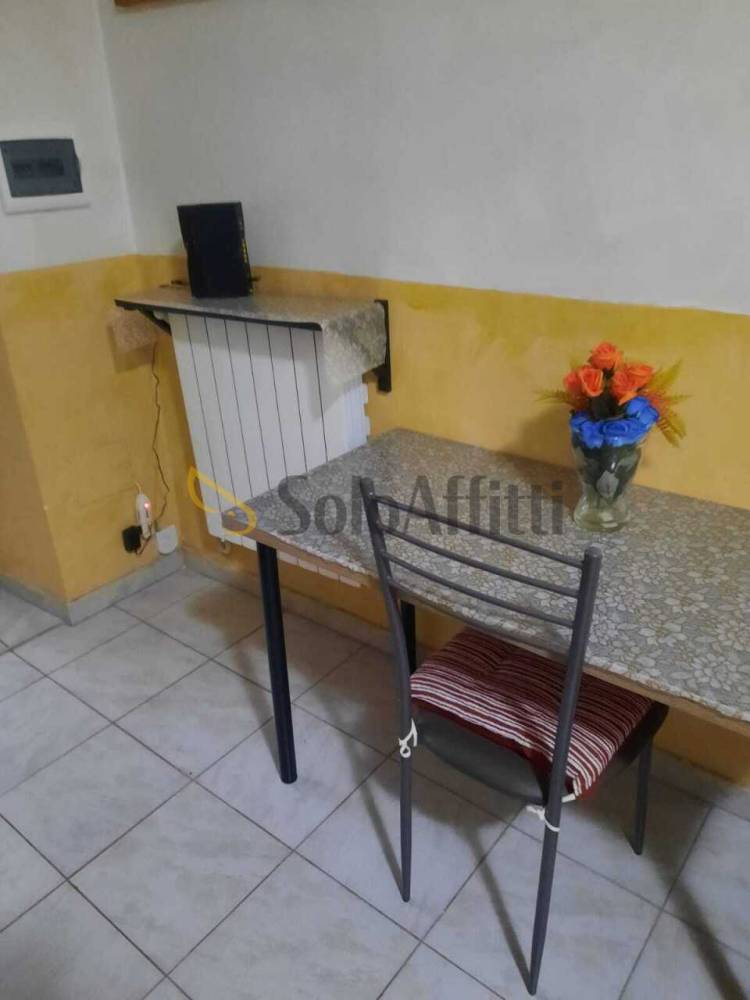 appartamento in affitto a Torino in zona Borgo San Paolo