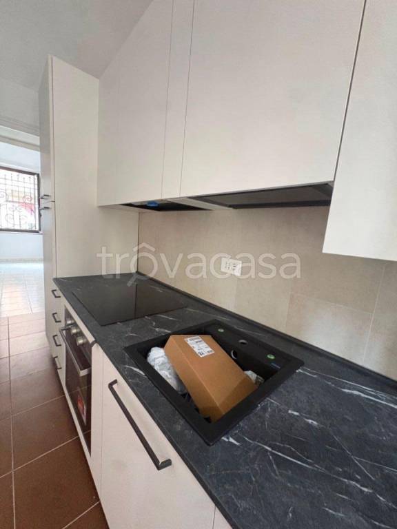 appartamento in affitto a Torino in zona Borgo San Paolo