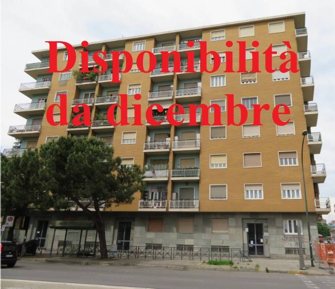 appartamento in affitto a Torino in zona Mirafiori Sud