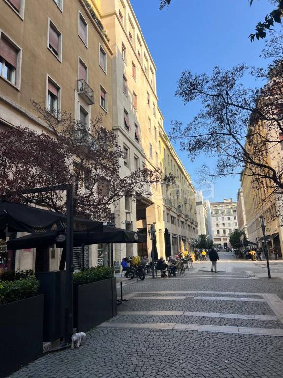 immagine annuncio 0 di 15