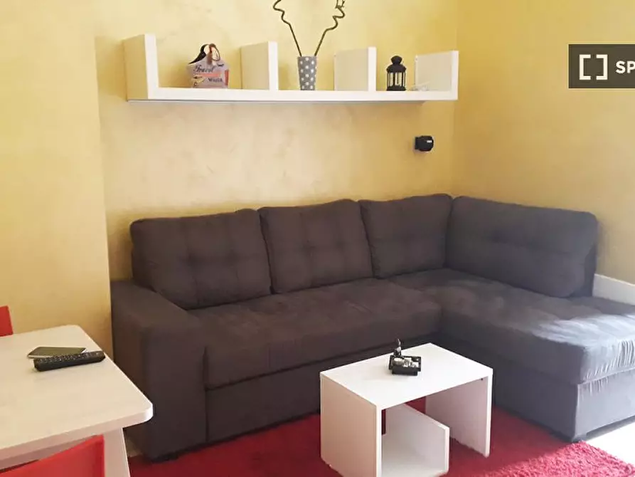 appartamento in affitto a Torino in zona Barriera di Milano