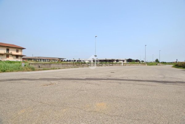 terreno edificabile in affitto a Torrazza Piemonte