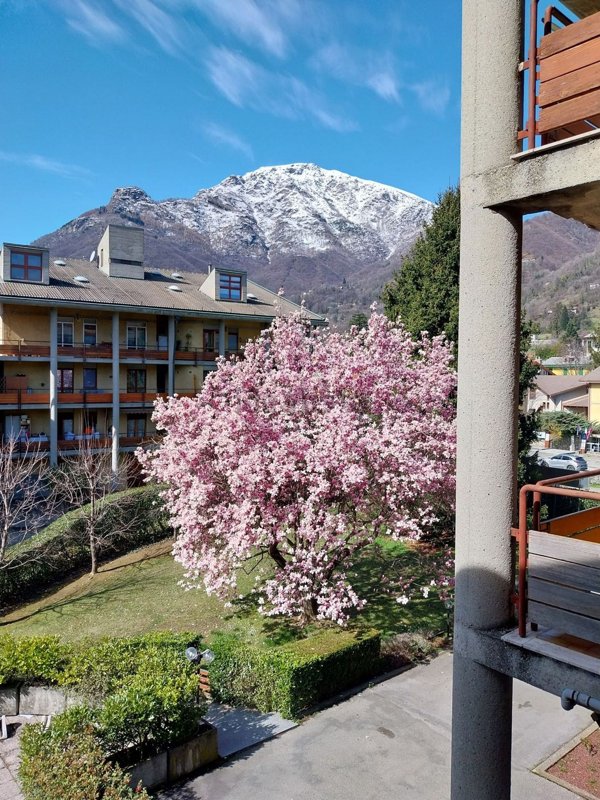 appartamento in affitto a Torre Pellice