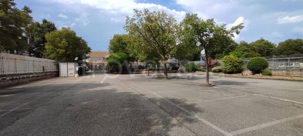 capannone in affitto a Venaria Reale