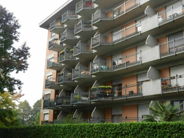 appartamento in affitto a Venaria Reale