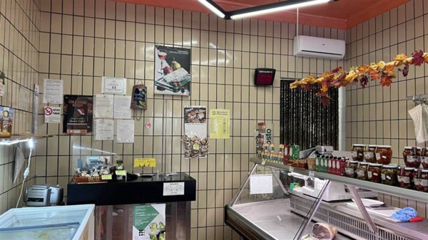 negozio in affitto a Venaria Reale