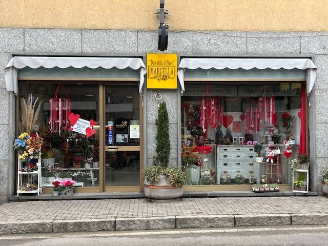 negozio in affitto a Vinovo