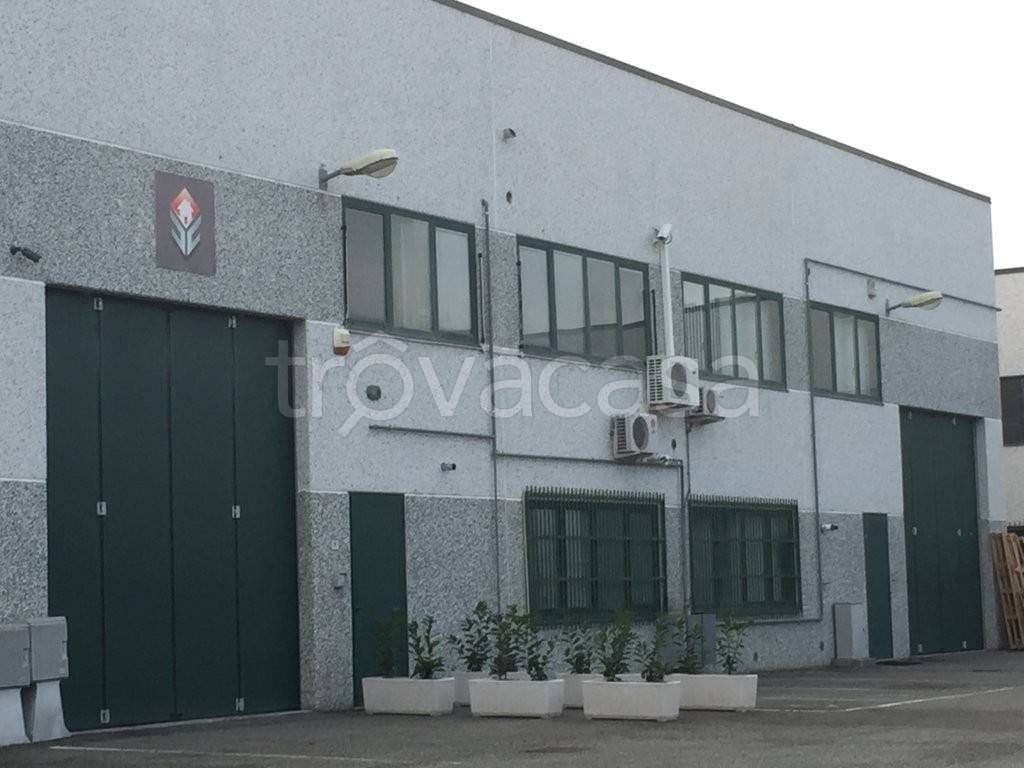 appartamento in affitto a Volpiano