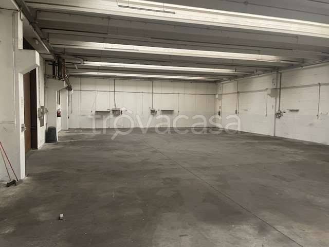 appartamento in affitto ad Ala