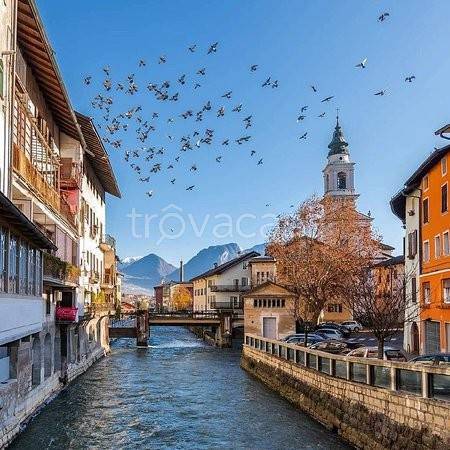 appartamento in affitto a Borgo Valsugana