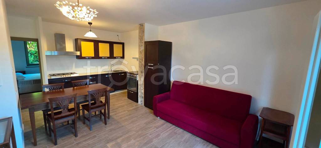 appartamento in affitto a Cles