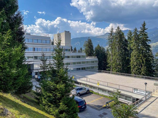 appartamento in affitto a Mezzana in zona Marilleva 1400
