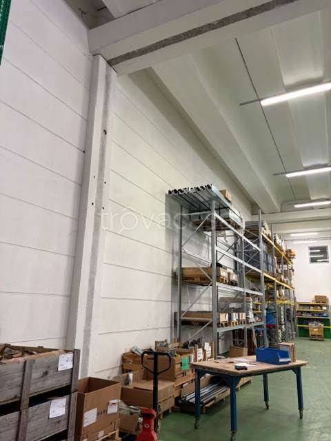 appartamento in affitto a Rovereto