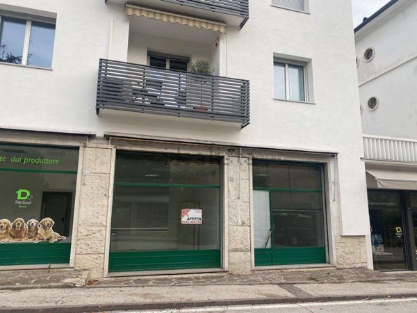 appartamento in affitto a Trento in zona Bolghera