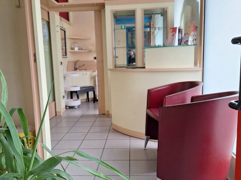 negozio in affitto a Trento