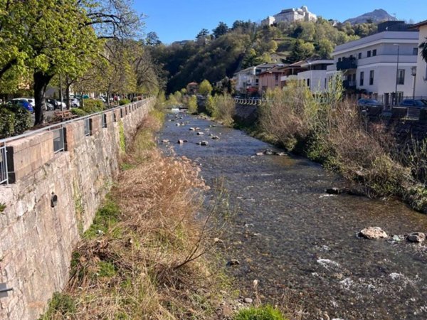 appartamento in affitto a Trento