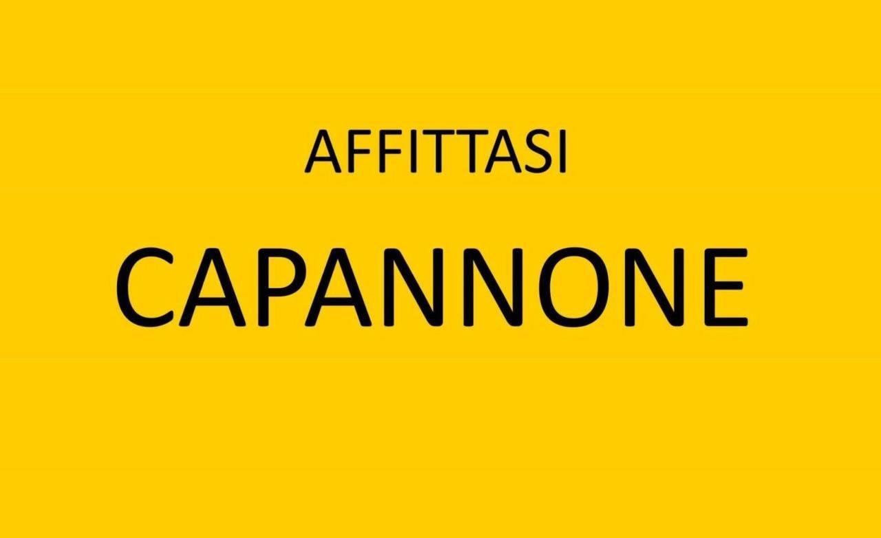 appartamento in affitto ad Arcole