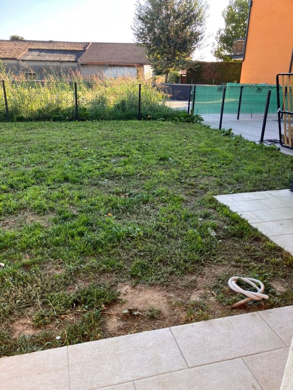appartamento in affitto ad Arcole