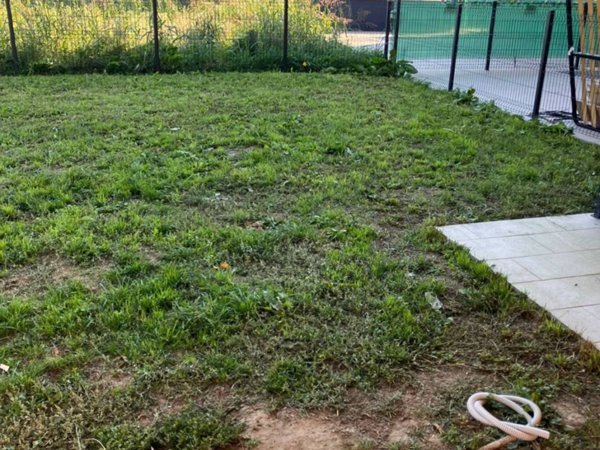 appartamento in affitto ad Arcole