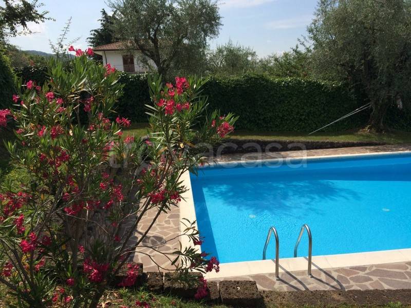 appartamento in affitto a Bardolino